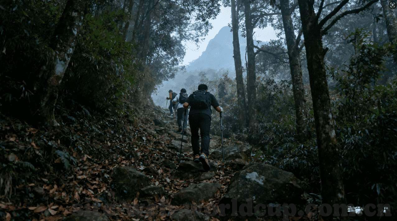 世界杯比分投注网-世界杯比分投注网，一场激情与策略的碰撞